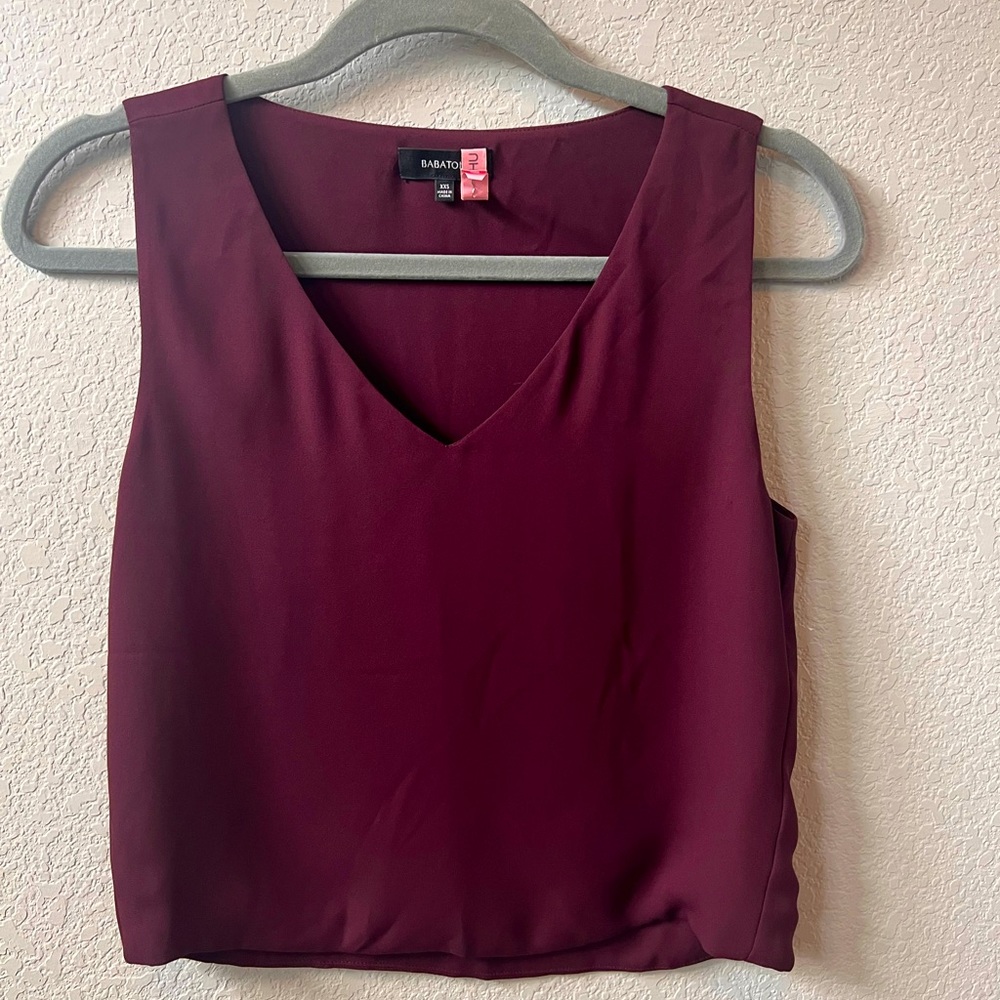 Aritzia cropped blouse (dry-cleaned!)